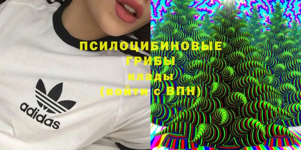 каннабис Богданович